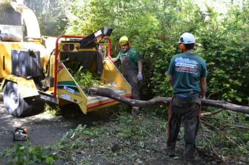 tree services Lapwai